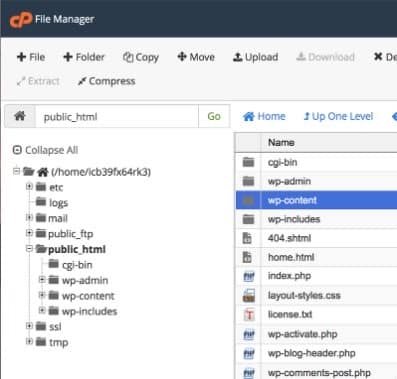 wp file manager