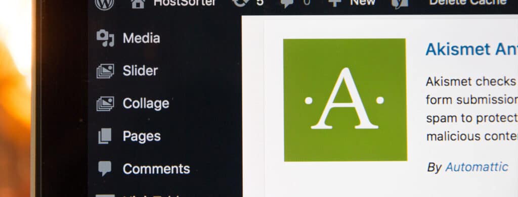 What are the default plugins installed in the WordPress